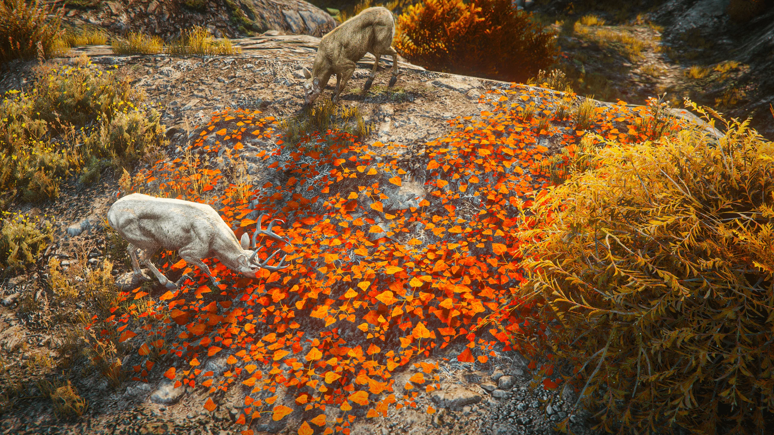 Autumn Vibe — Graphics Mods for FiveM Mods and Game
