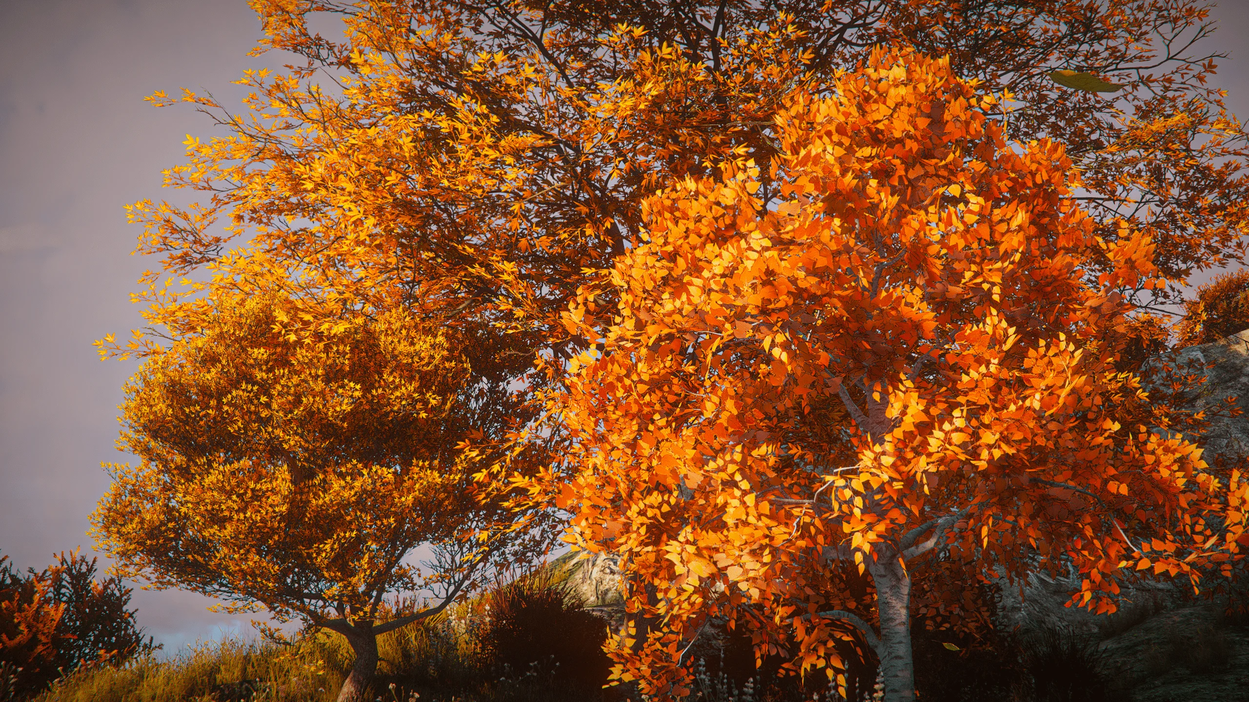 Autumn Vibe — Graphics Mods for FiveM Mods and Game