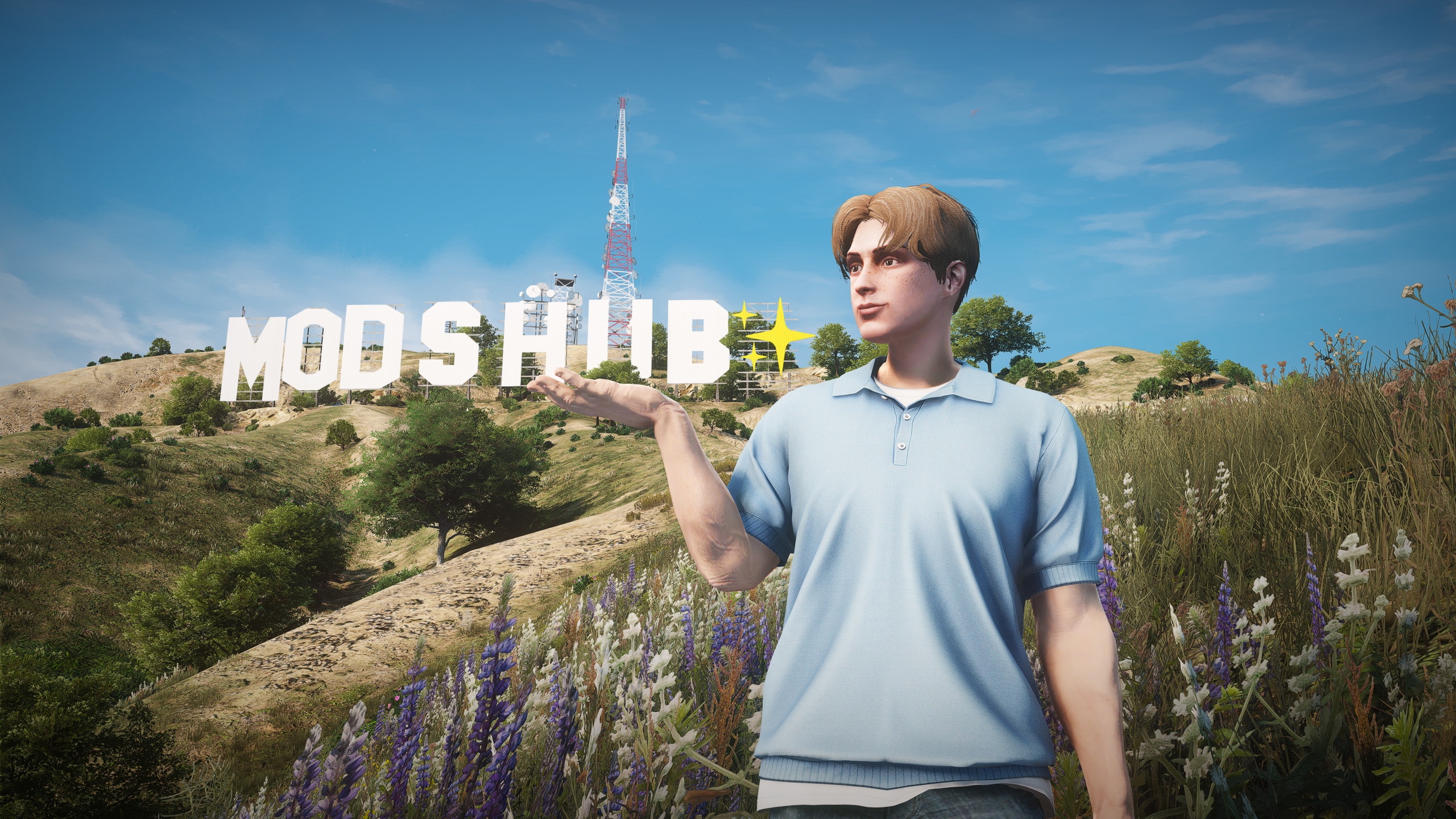 ModsHub Hill Mod