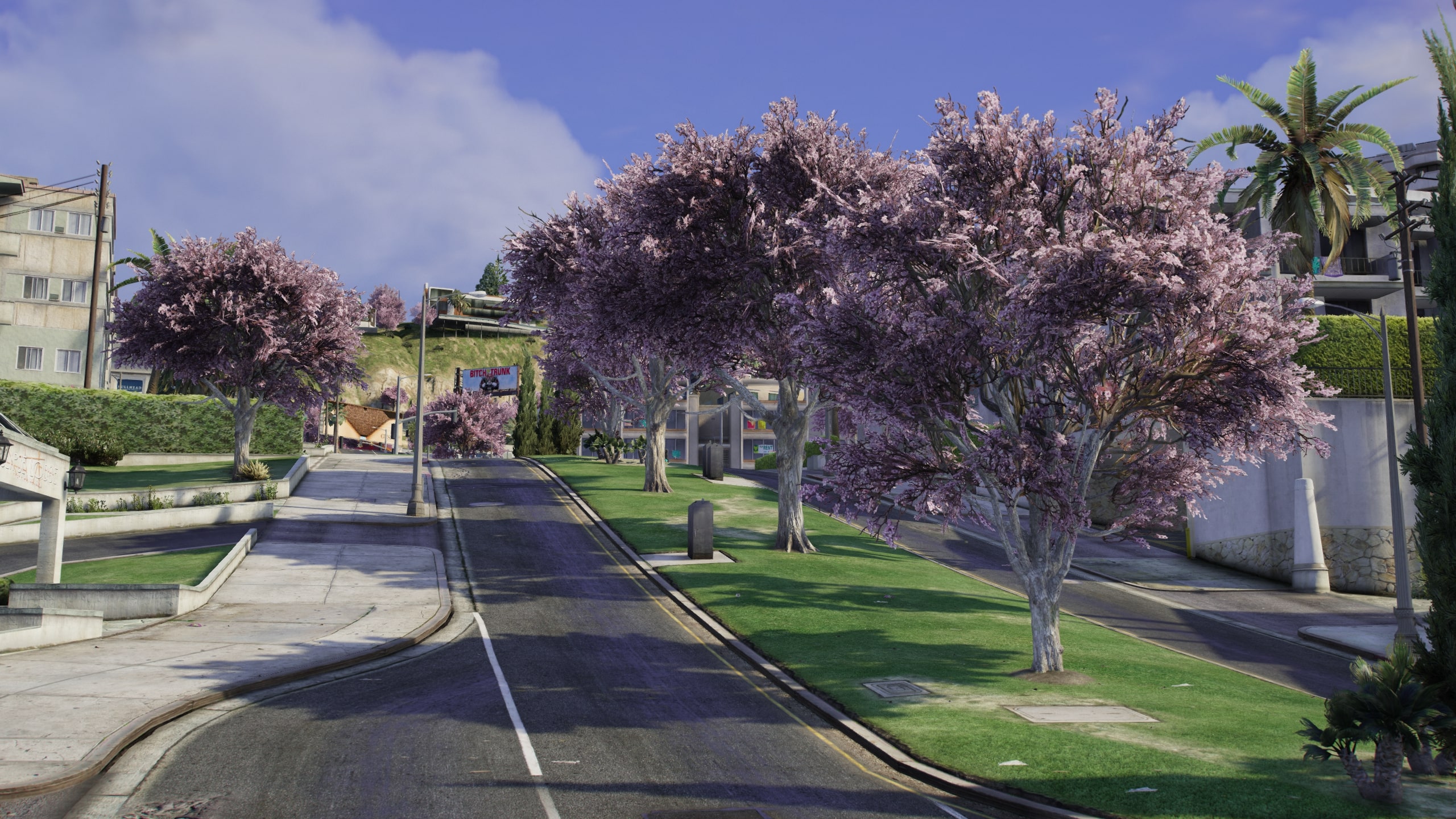 Sakura Season Mod