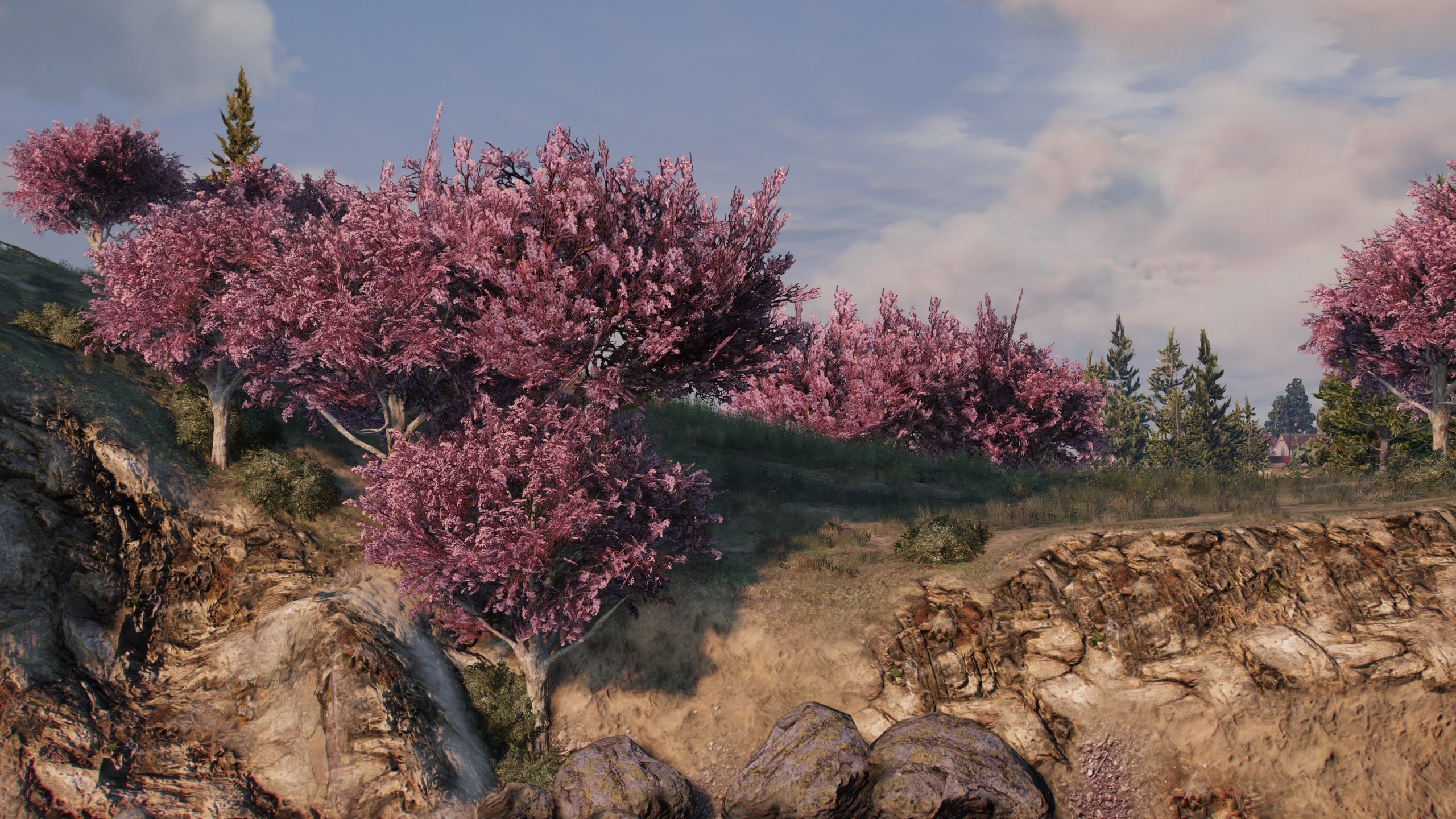 Sakura Season Mod