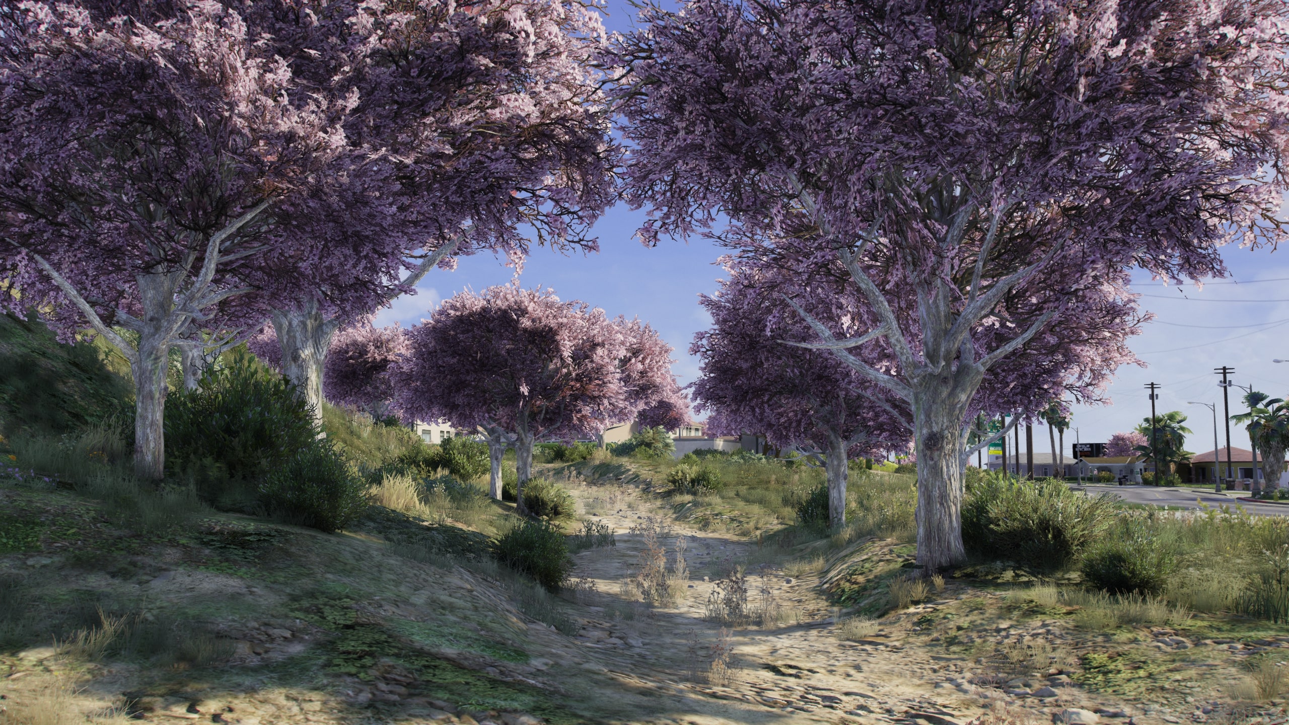 Sakura Season Mod