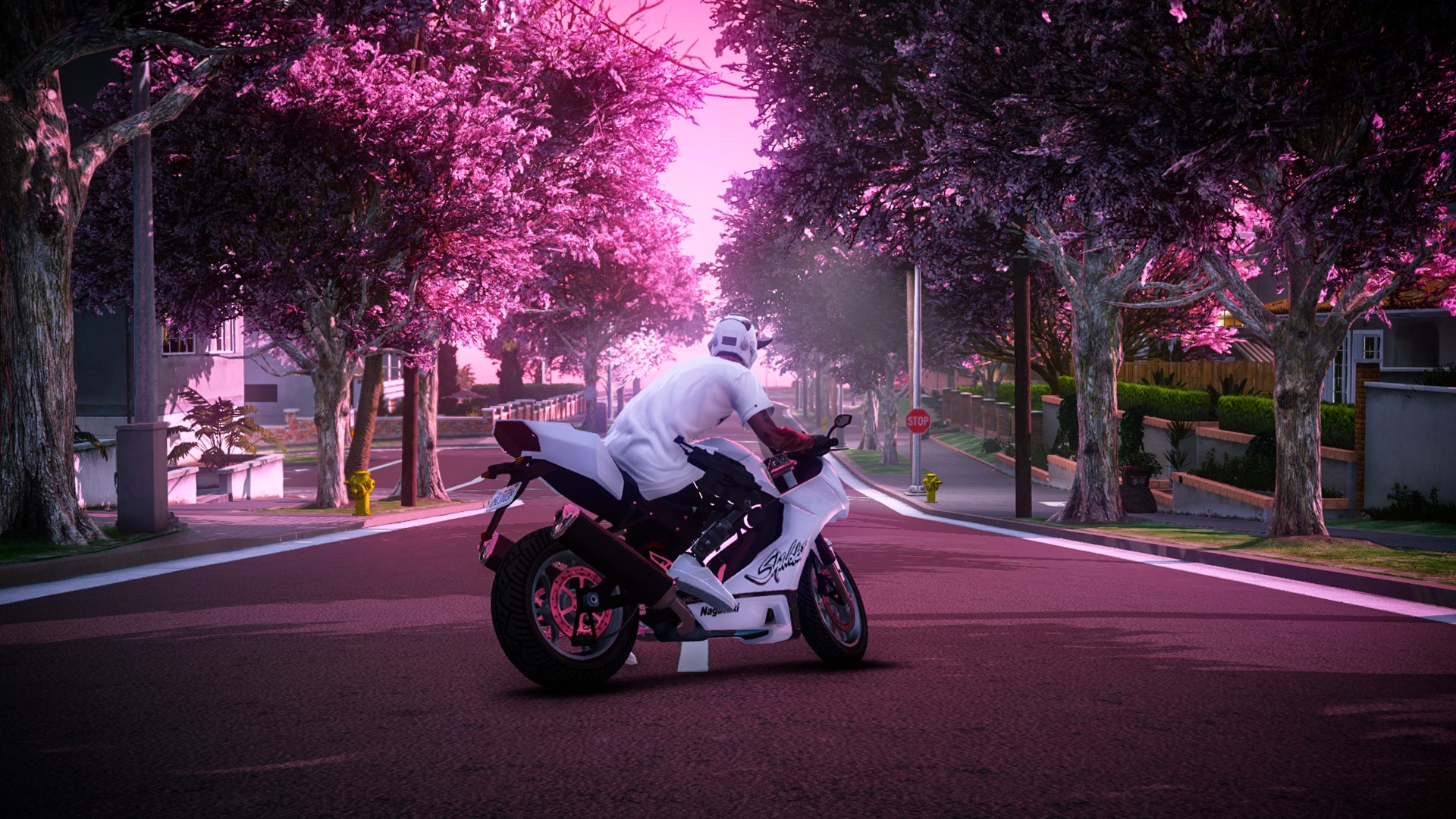 Sakura Season Mod