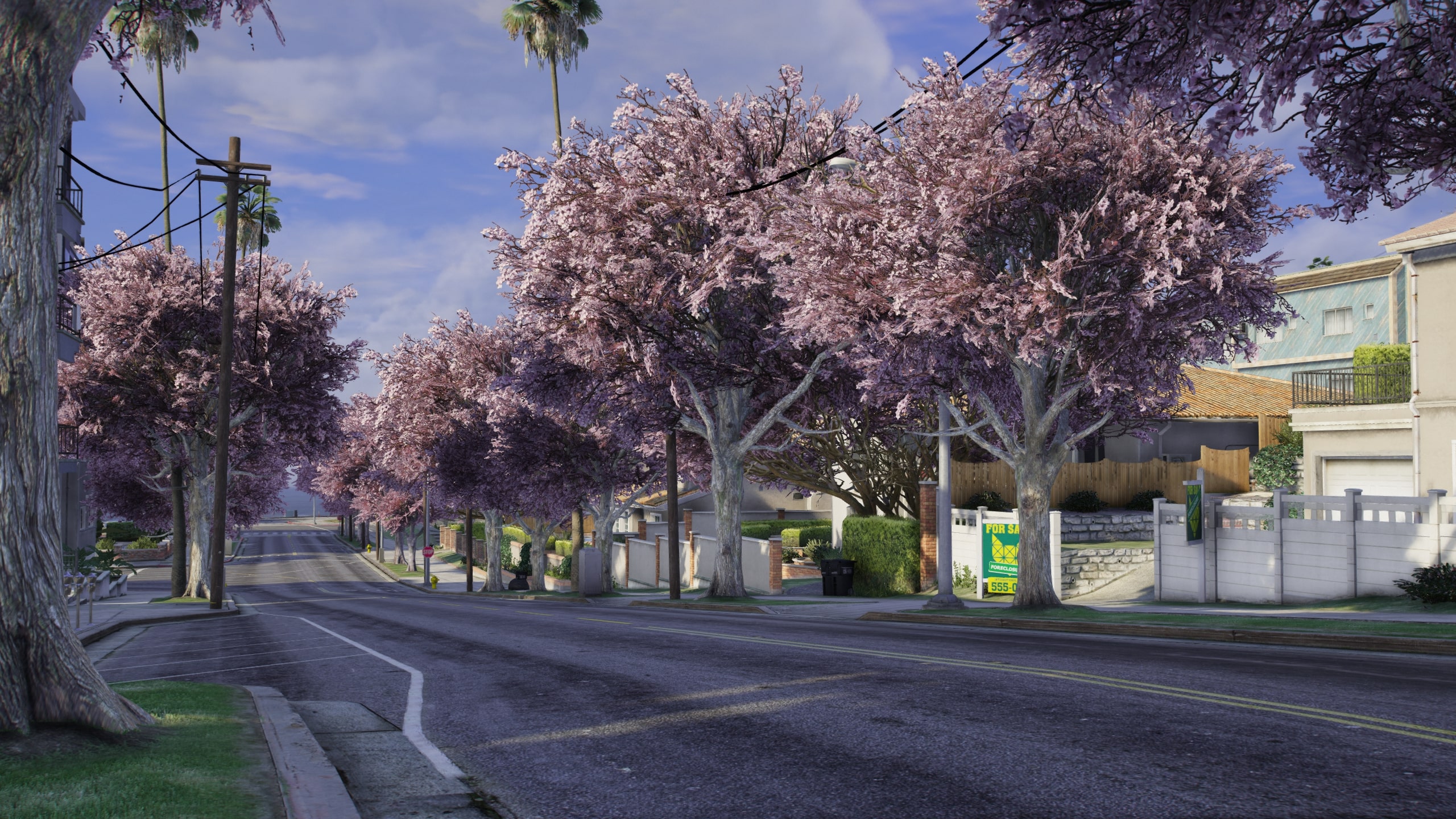 Sakura Season Mod