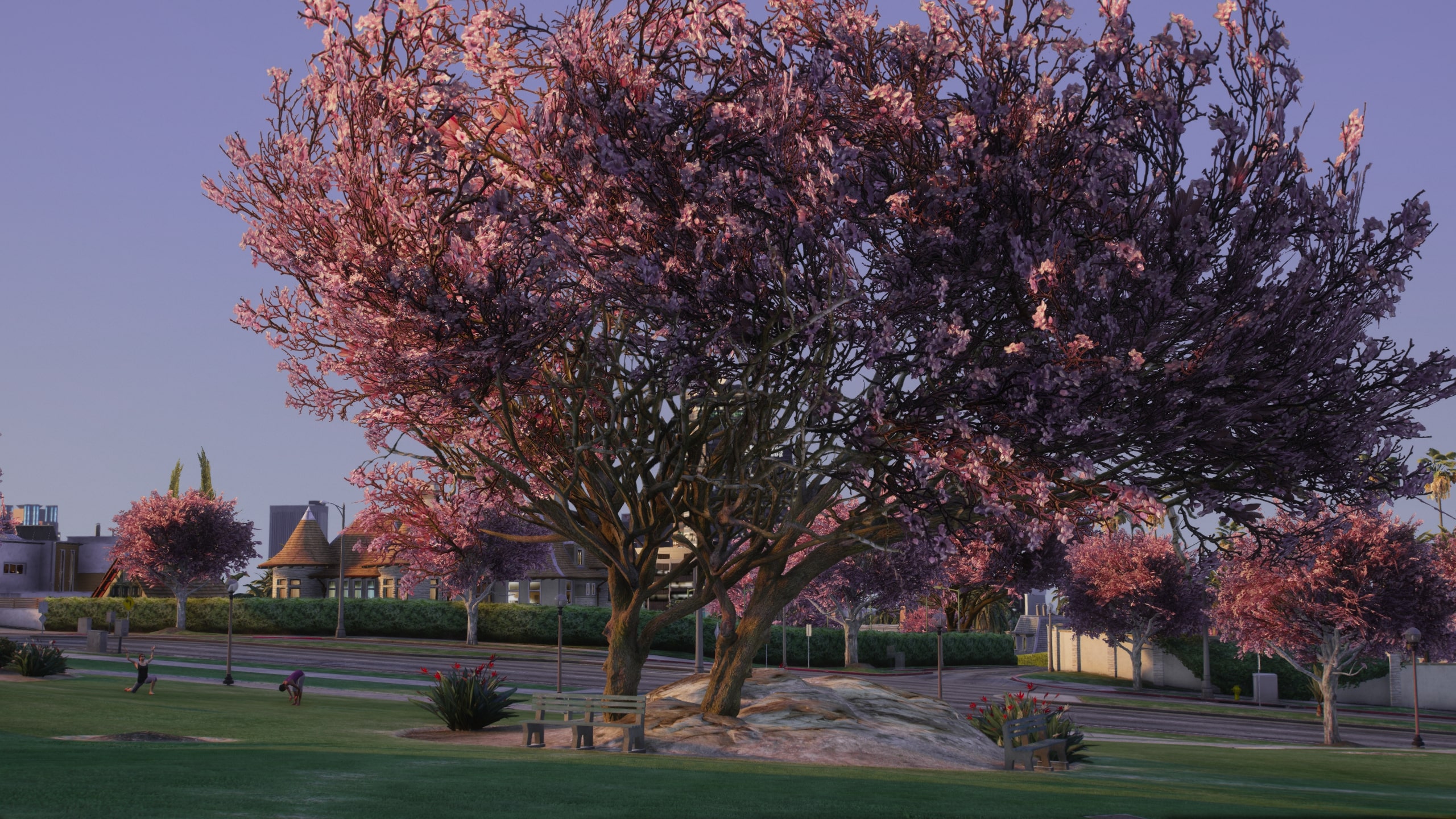 Sakura Season Mod