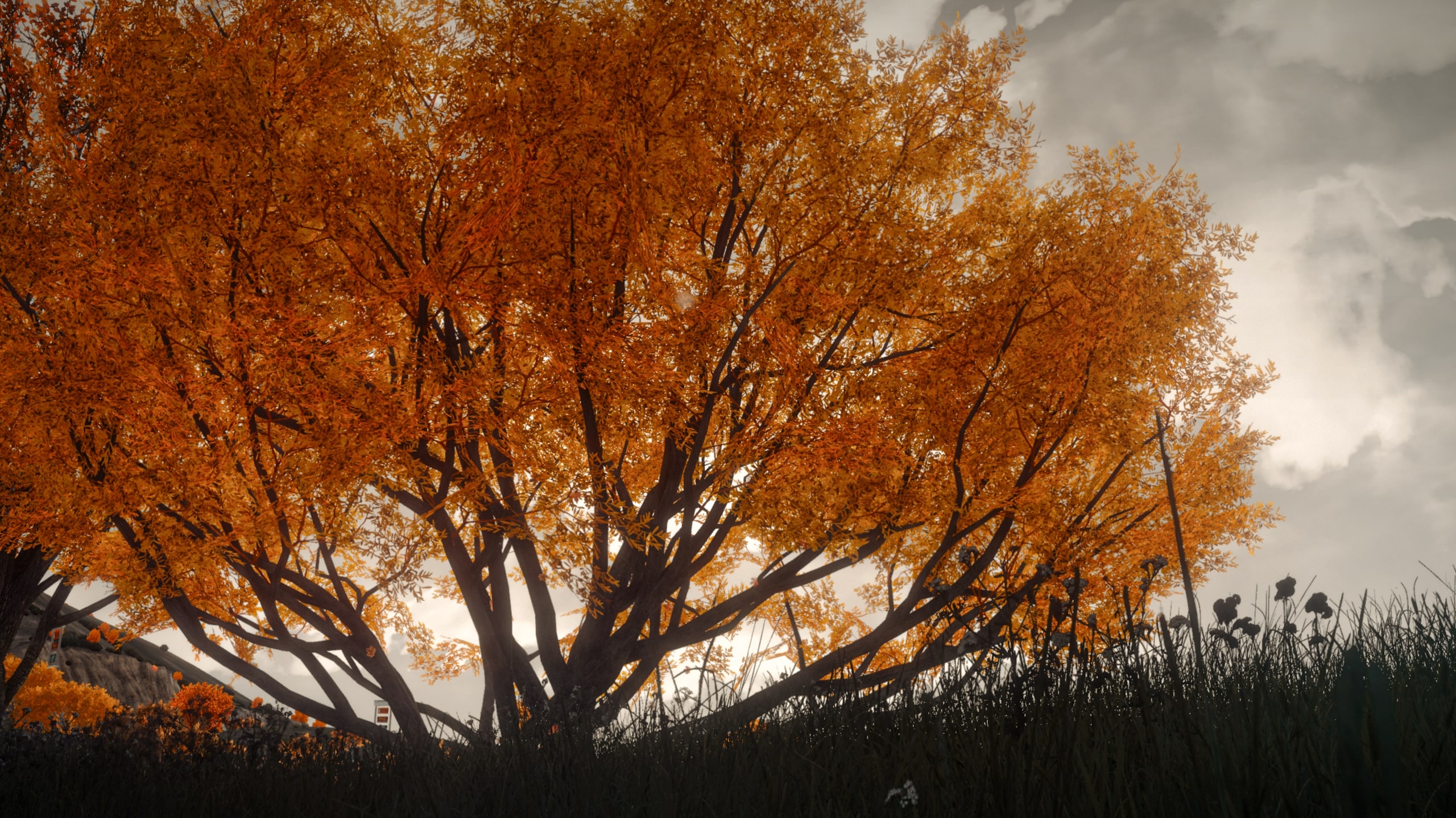 Autumn Trees Mod