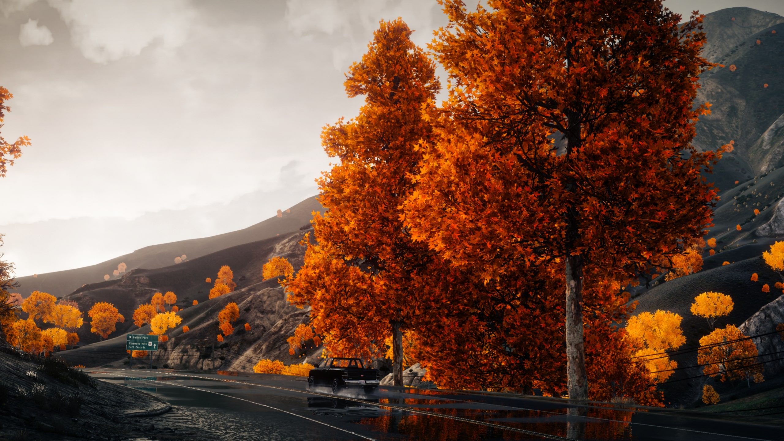 Autumn Trees Mod