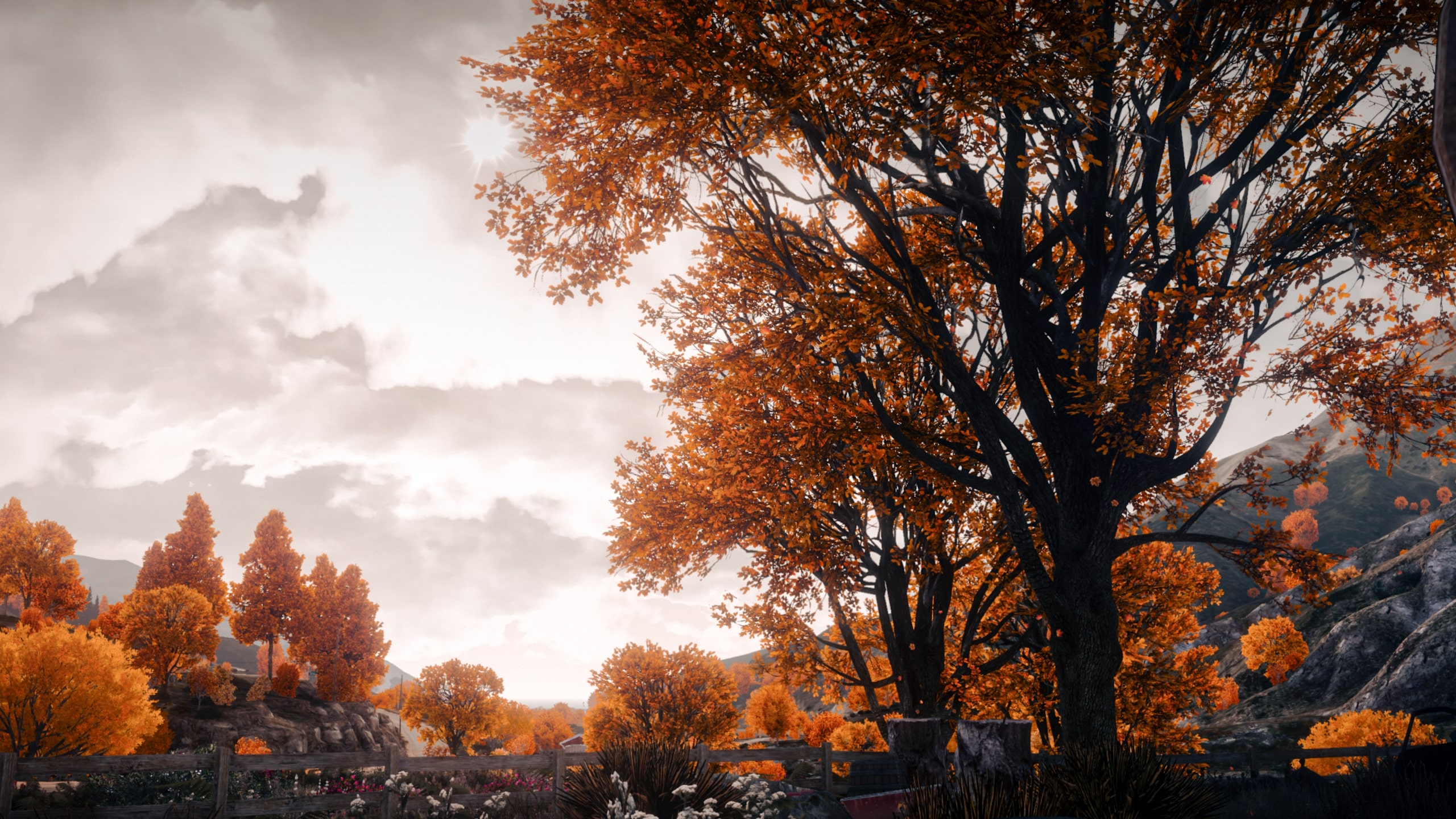 Autumn Trees Mod