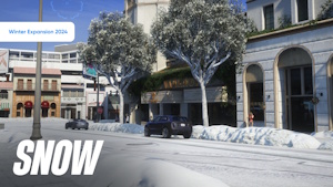 Snow - Winter Expansion 2024 — 🧩 Modpacks ❄️ Winter — FiveM Mods