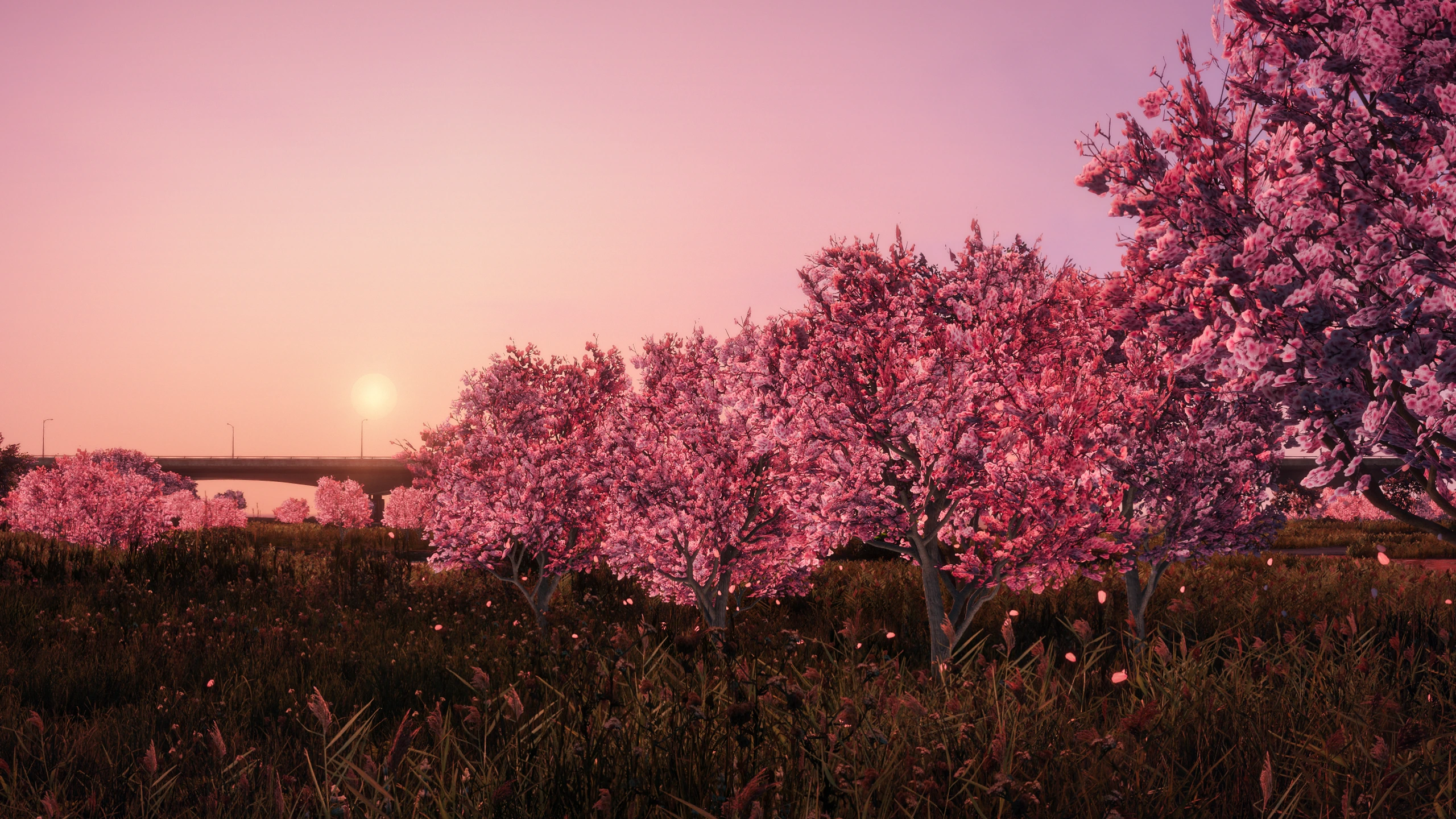 Sakura Season 2.0 Mod