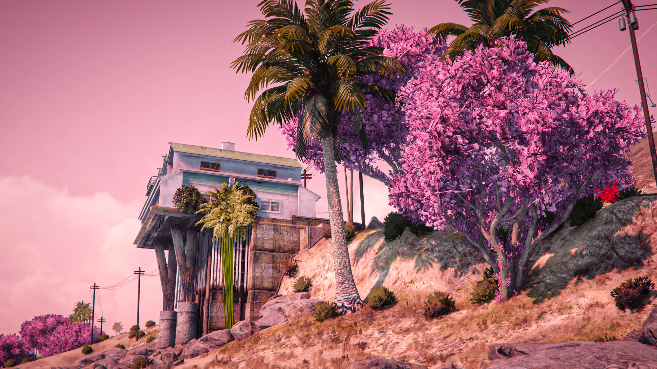 Sakura Season 2.0 Mod