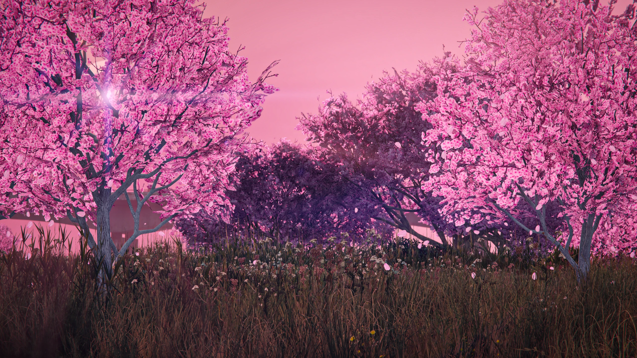 Sakura Season 2.0 Mod