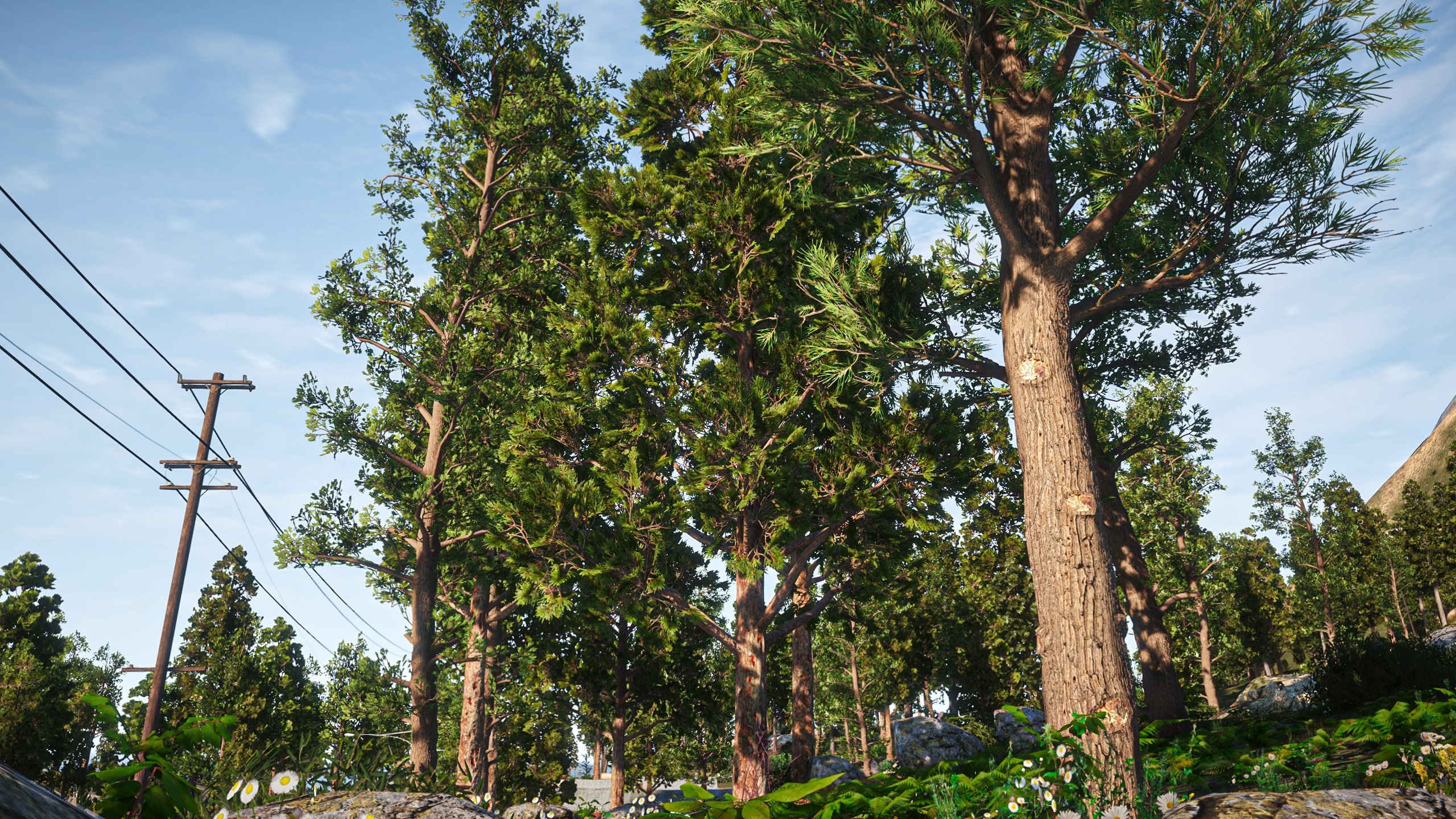 California Trees Mod